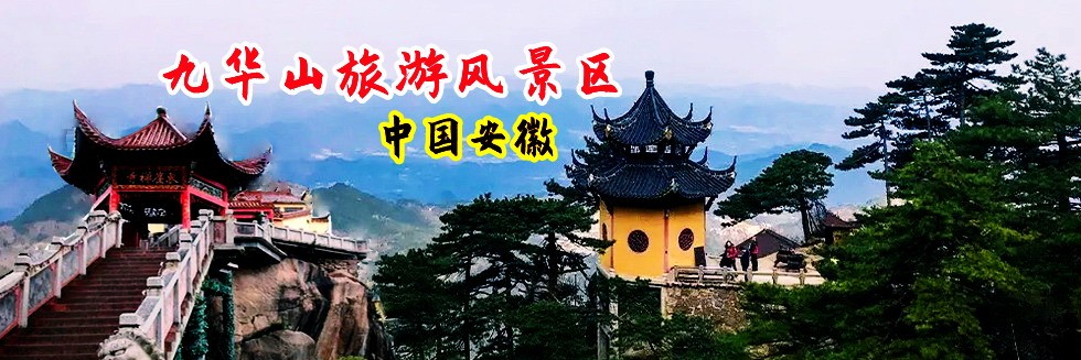 大鸡巴操小逼逼视频
