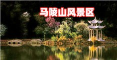鸡巴日女人屄视频
